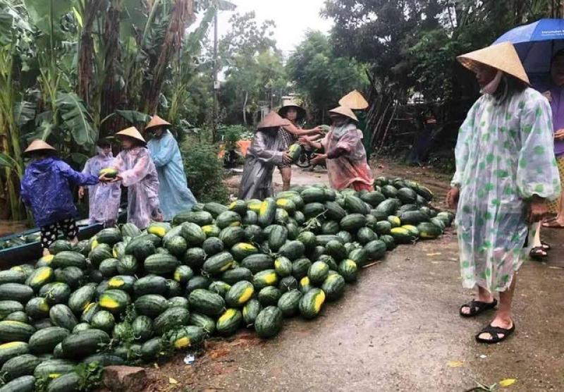 Bão số 1: Hơn 300 ngôi nhà ở Quảng Nam ngập sâu trong biển nước- Ảnh 2.