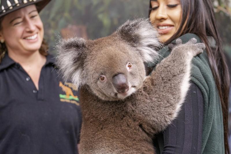 Khám phá vẻ đẹp nguyên sơ của vùng đất Tây Australia- Ảnh 9. Khám phá vẻ đẹp nguyên sơ của vùng đất Tây Australia- Ảnh 9.