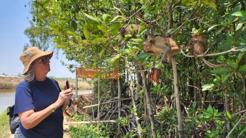 Ngư dân 'đổi đời' nhờ... làm du lịch sinh thái dưới tán rừng phòng hộ- Ảnh 4. Ngư dân 'đổi đời' nhờ... làm du lịch sinh thái dưới tán rừng phòng hộ- Ảnh 4.