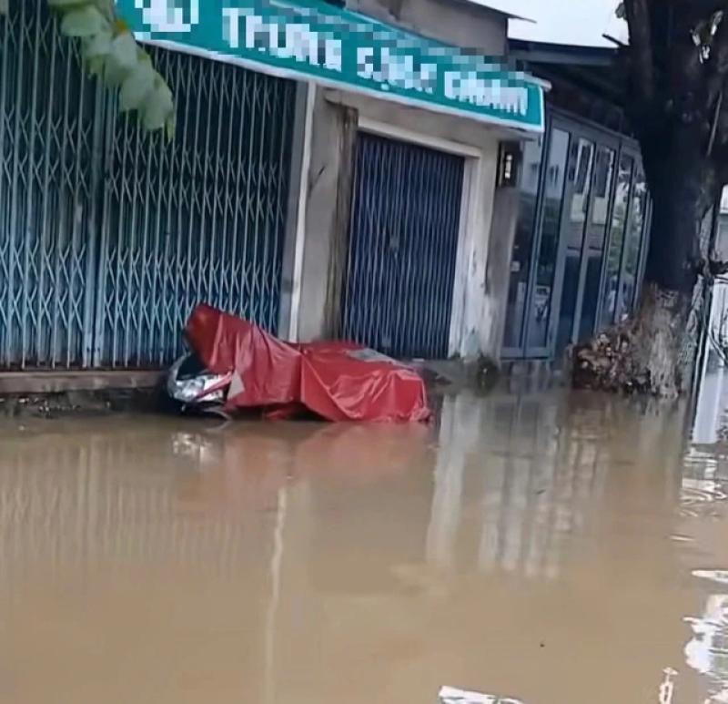  - Ảnh 3.