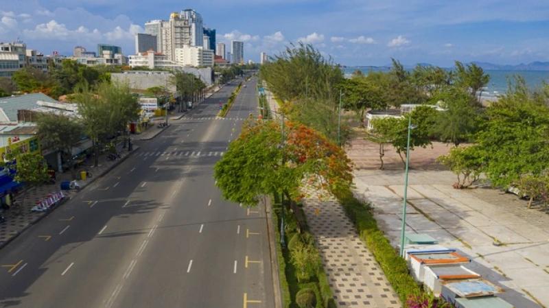Cây phượng nửa lá nửa hoa độc lạ ở Vũng Tàu khiến du khách ngỡ ngàng hè 2025 - Ảnh 8.