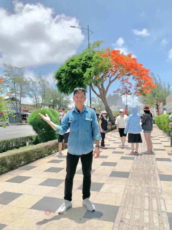 Cây phượng nửa lá nửa hoa độc lạ ở Vũng Tàu khiến du khách ngỡ ngàng hè 2025 - Ảnh 5.