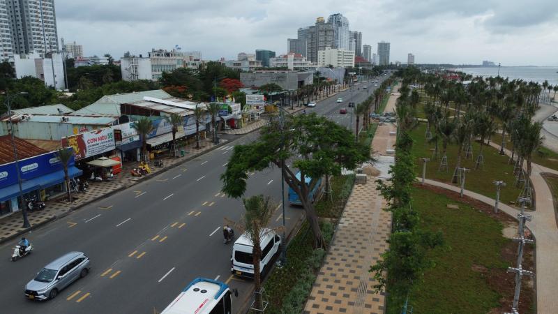 Cây phượng nửa lá nửa hoa độc lạ ở Vũng Tàu khiến du khách ngỡ ngàng hè 2025 - Ảnh 1.