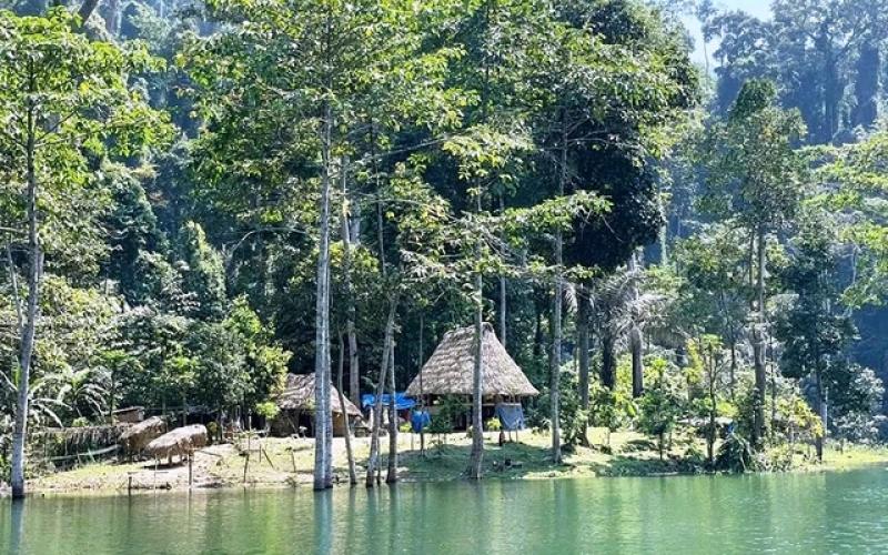 Trả nợ cho rừng: Hành trình khôi phục màu xanh tại Vườn quốc gia sông Thanh - Ảnh 1.