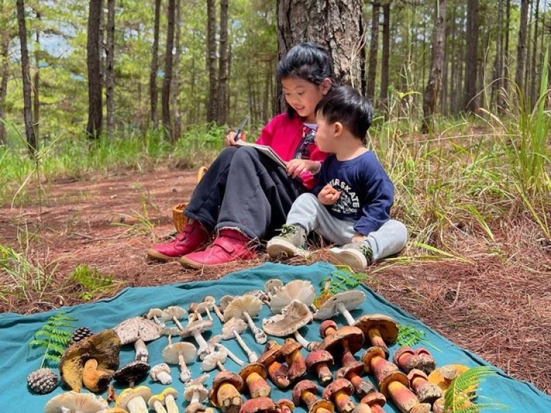 Hè 2025: Vào rừng hái nấm ở Đà Lạt, trẻ em học kỹ năng sống từ thiên nhiên - Ảnh 1. Hè 2025: Vào rừng hái nấm ở Đà Lạt, trẻ em học kỹ năng sống từ thiên nhiên - Ảnh 1.