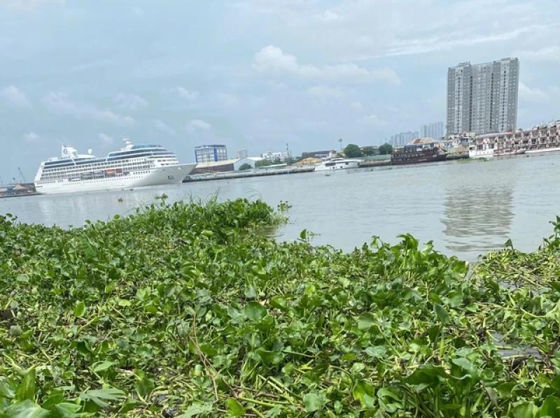 Phát hiện thi thể trẻ sơ sinh ở bờ sông Sài Gòn- Ảnh 1.
