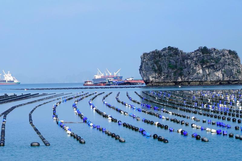 Đặc khu - Ảnh 12.