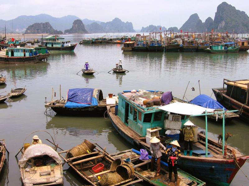 Đặc khu - Ảnh 2.