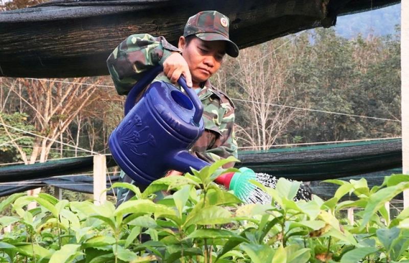 Trả nợ cho rừng: Hành trình khôi phục màu xanh tại Vườn quốc gia sông Thanh - Ảnh 4.