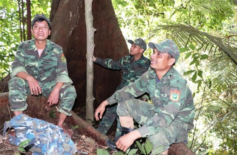 Trả nợ cho rừng: Hành trình khôi phục màu xanh tại Vườn quốc gia sông Thanh - Ảnh 5.