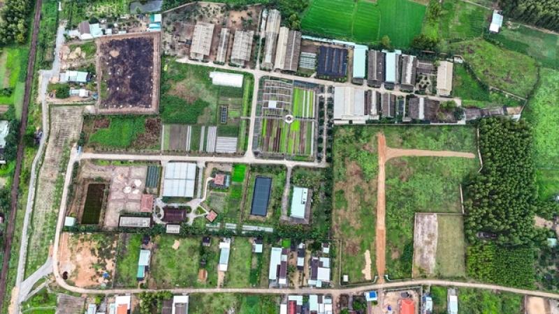 Bình Định: Thu hồi dự án sản xuất rau an toàn, xử lý cán bộ vi phạm- Ảnh 1.