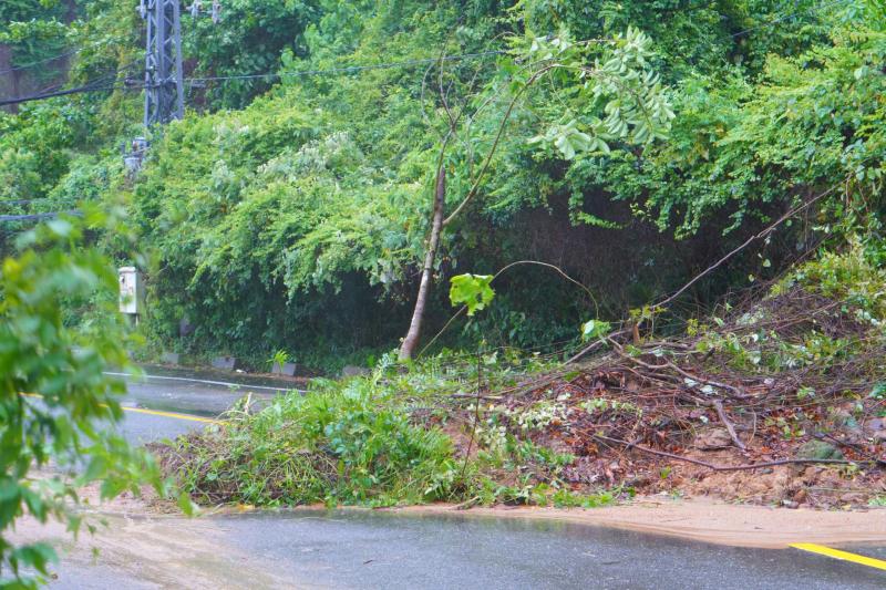 Bão số 1: Bán đảo Sơn Trà xuất hiện nhiều điểm sạt lở nguy hiểm- Ảnh 6. Bão số 1: Bán đảo Sơn Trà xuất hiện nhiều điểm sạt lở nguy hiểm- Ảnh 6.