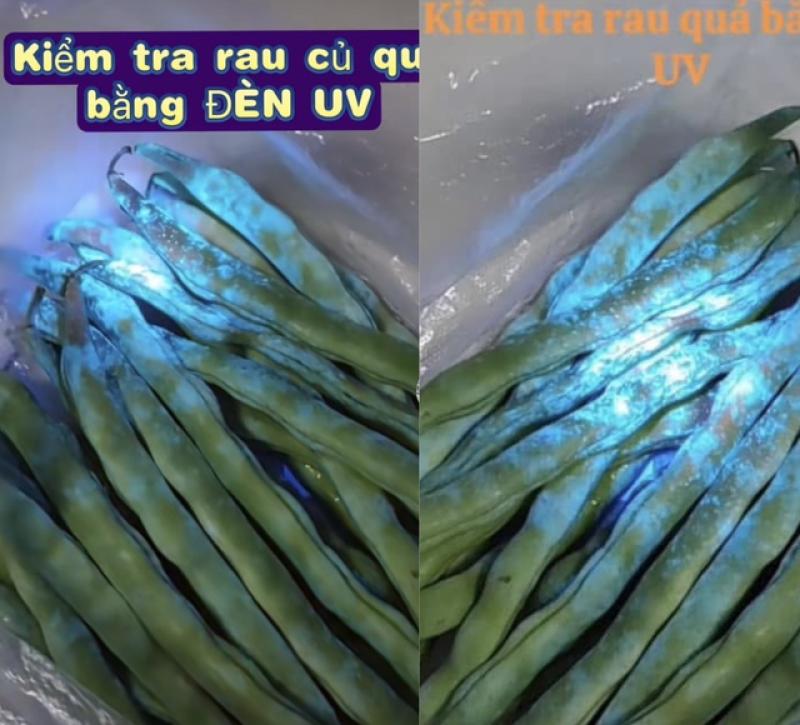 Sự thật về đèn UV phát hiện thuốc trừ sâu: Chiêu trò bán hàng hay công nghệ thật?  - Ảnh 1.