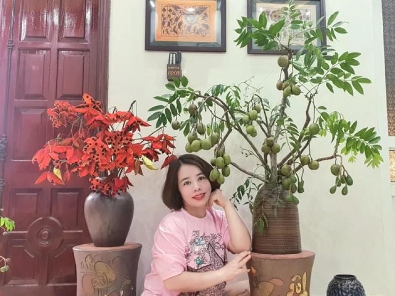 Cô giáo Phú Thọ gây sốt với thú chơi cắm cành trái cây độc đáo , đặc biệt là dừa - Ảnh 12.