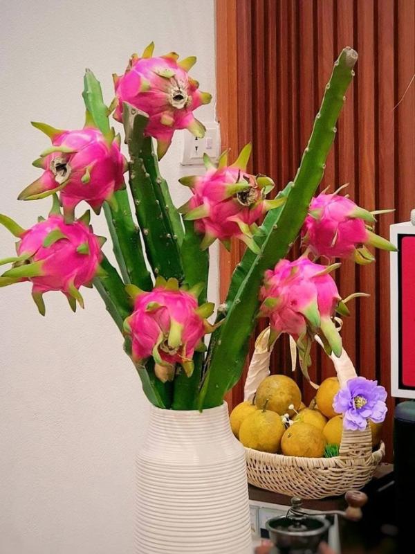 Cô giáo Phú Thọ gây sốt với thú chơi cắm cành trái cây độc đáo , đặc biệt là dừa - Ảnh 6.
