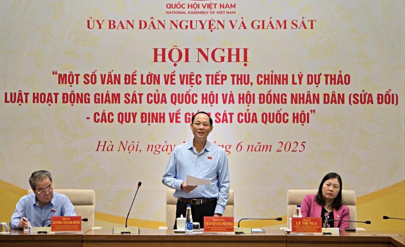 'Giám sát không thể làm một đoàn thiệt to, đi nghía nghía mấy công trình rồi về' - Ảnh 1.