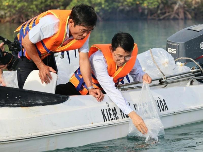 Khánh Hòa thả gần 430.000 con giống để tái tạo nguồn lợi thủy sản- Ảnh 1.