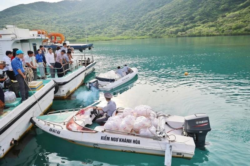 Khánh Hòa thả gần 430.000 con giống để tái tạo nguồn lợi thủy sản- Ảnh 2.