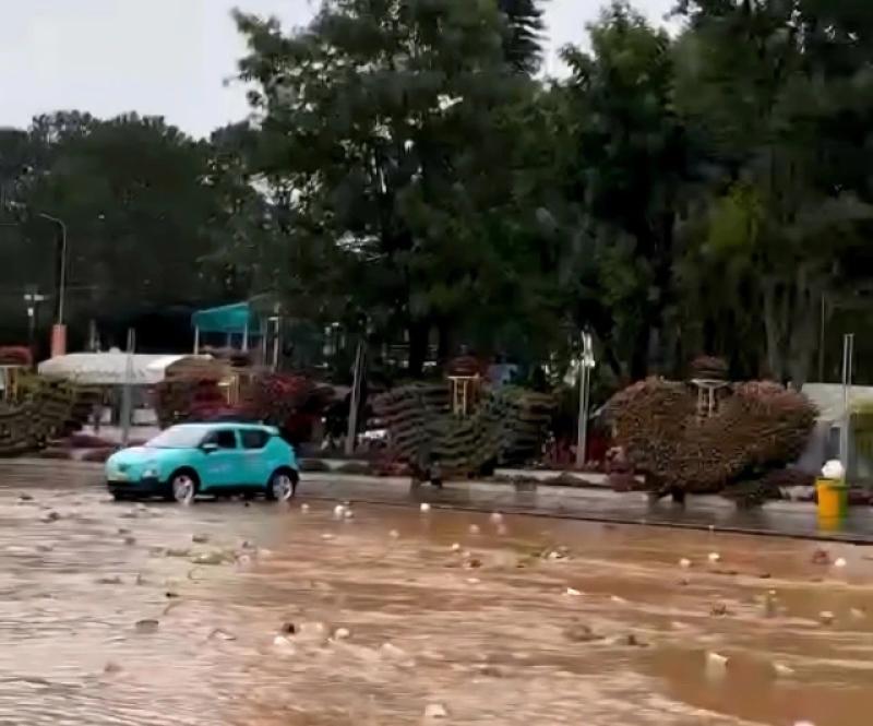 Đà Lạt mưa lớn như trút nước, nhiều tuyến đường ngập nặng- Ảnh 7.