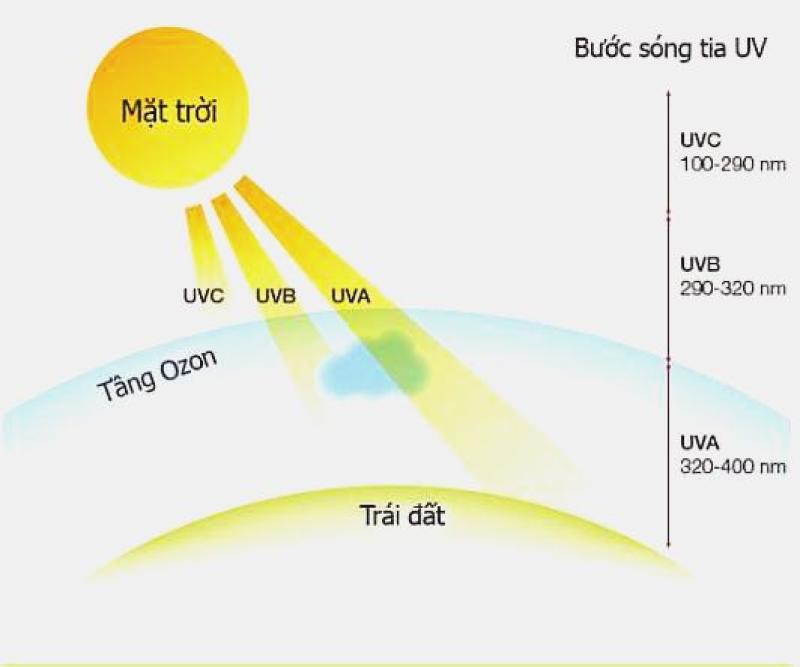Sự thật về tia UV: Lý do trời mưa vẫn cần chống nắng- Ảnh 2.