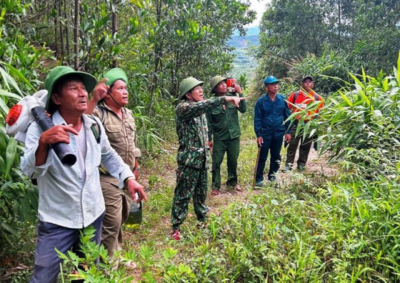 Phó chủ tịch TP.Đà Nẵng leo lên đỉnh núi chỉ đạo vụ cháy rừng quy mô lớn- Ảnh 1.