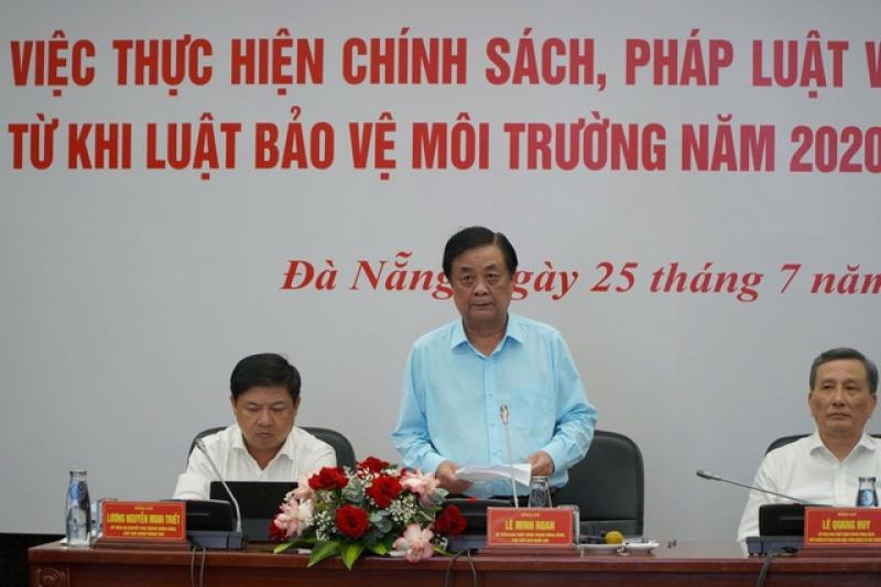  - Ảnh 2.