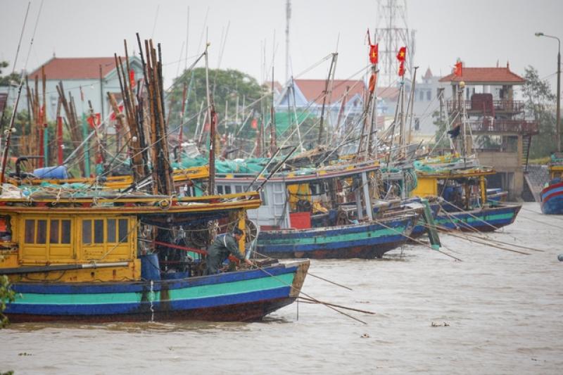 Quyền Bộ trưởng Bộ NN - MT kiểm tra ứng phó bão Wipha tại Ninh Bình - Ảnh 2.