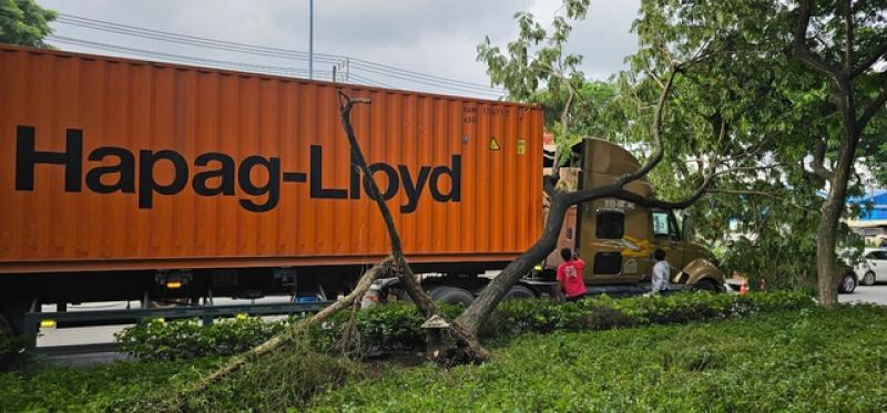 Xe container va ngã cây xanh trên đường Trần Văn Giàu: Ai đúng, ai sai?- Ảnh 1. Xe container va ngã cây xanh trên đường Trần Văn Giàu: Ai đúng, ai sai?- Ảnh 1.