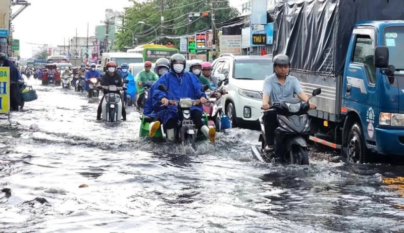 Bảo vệ ô tô khỏi ngập nước, cây ngã thế nào vào mùa mưa? - Ảnh 2.