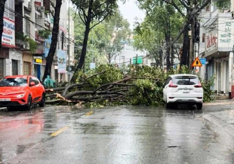 Đồng Nai: Hơn 26.000 khách hàng mất điện sau cơn mưa to kèm gió lớn- Ảnh 2.