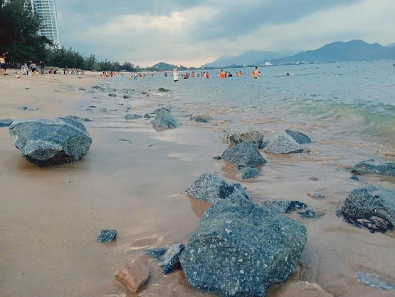 'Rừng' đá chẻ bỗng nhiên xuất hiện trên bãi biển Bình Sơn - Ninh Chữ - Ảnh 1.