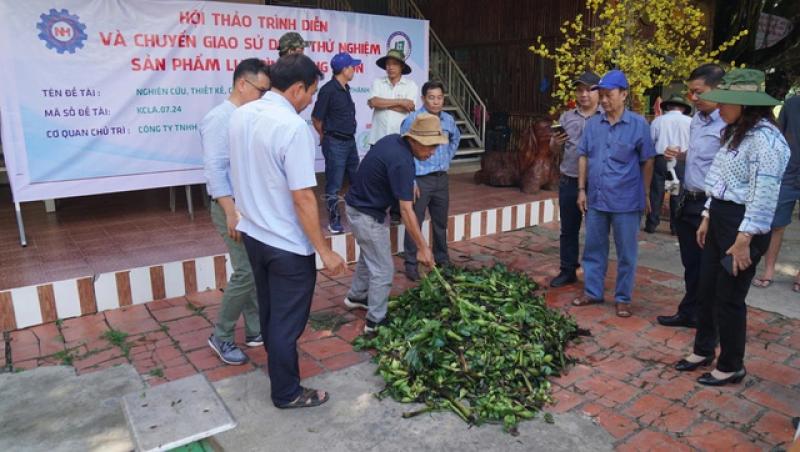 Thân phận lục bình Nam bộ: Ai cũng muốn 'xử' lục bình- Ảnh 1.