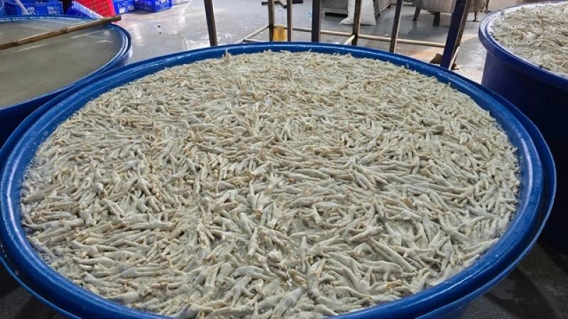 Thanh hóa phát hiện kho đông lạnh tẩy trắng chân gà bằng oxy già - Ảnh 1.