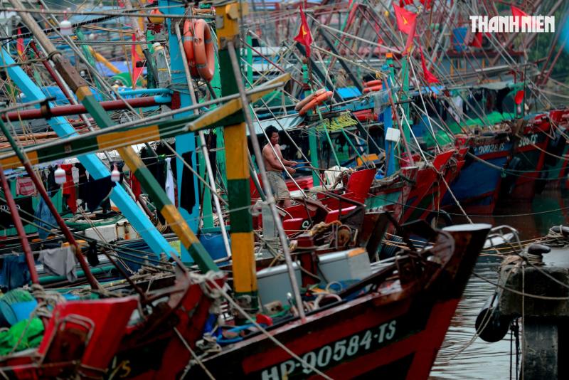 Người dân Hải Phòng căng mình ứng phó với bão số 3 (Wipha)- Ảnh 1.