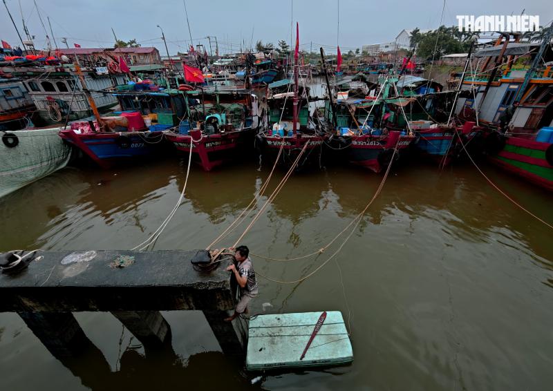 Người dân Hải Phòng căng mình ứng phó với bão số 3 (Wipha)- Ảnh 3.