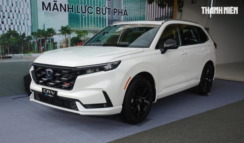 Người Việt mua sắm ngày càng nhiều ô tô hybrid, xe Toyota chiếm đa số - Ảnh 2.
