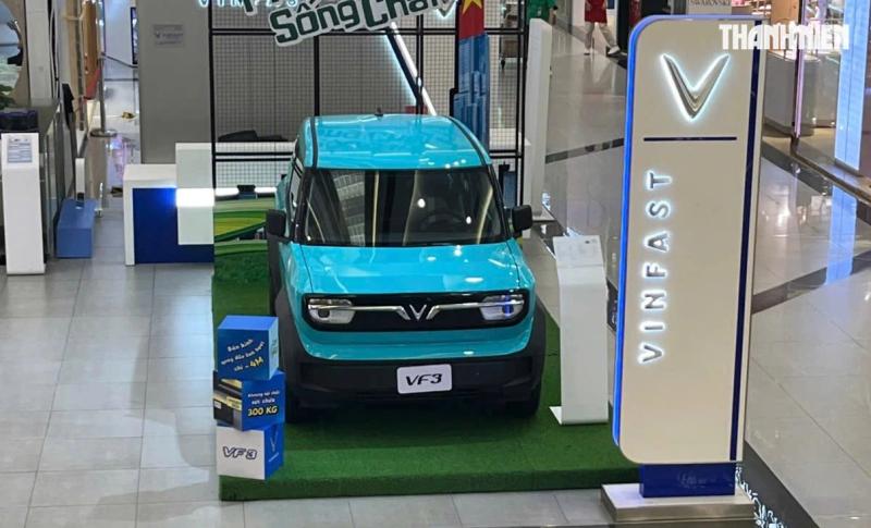 Người Việt tăng mua sắm ô tô điện, xe hybrid - Ảnh 2.