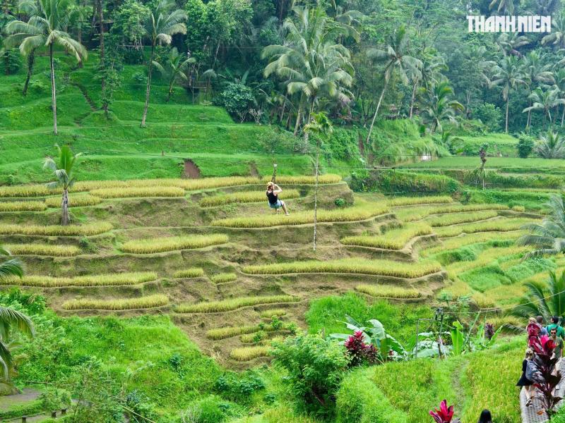 Giải mã bí ẩn trên ruộng bậc thang khiến du khách mê mẩn ở đảo Bali- Ảnh 10.