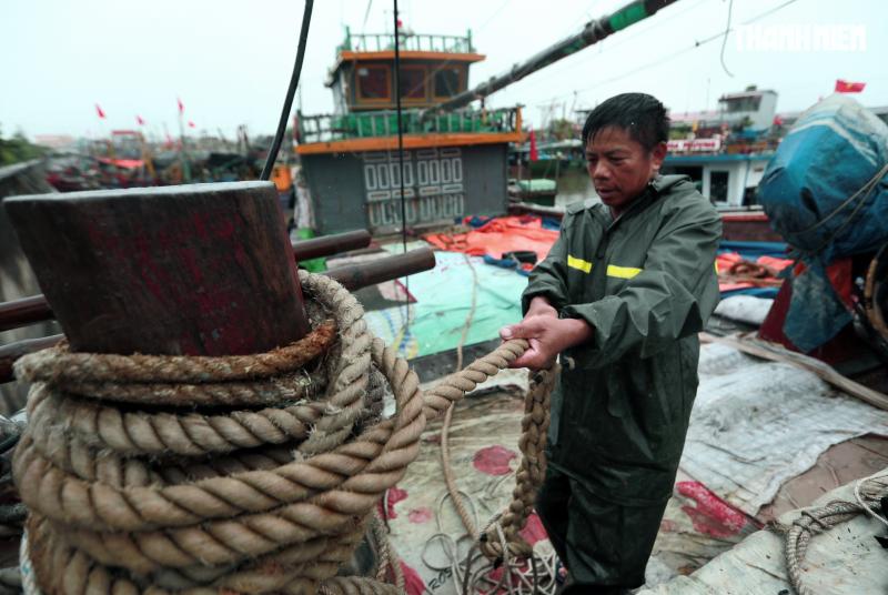 Người dân Hải Phòng căng mình ứng phó với bão số 3 (Wipha)- Ảnh 5.