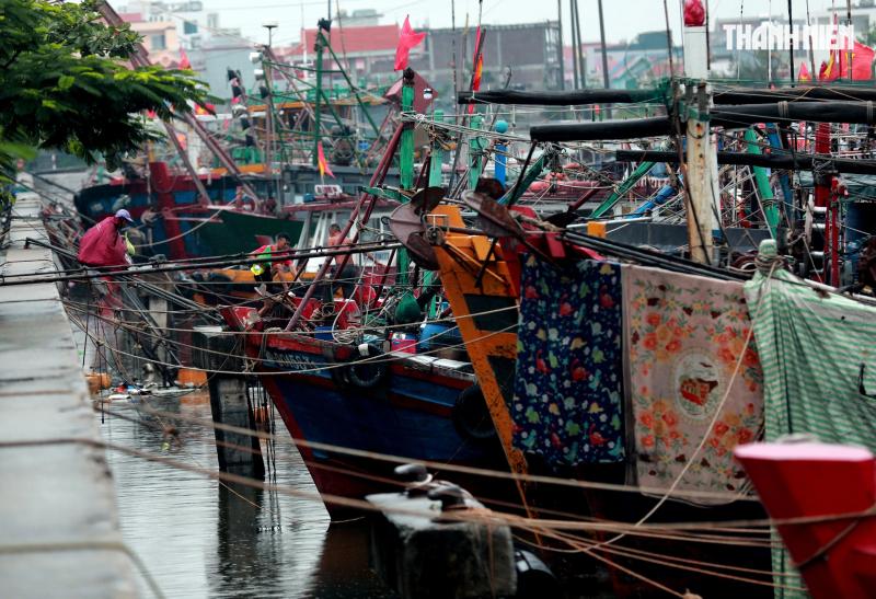 Người dân Hải Phòng căng mình ứng phó với bão số 3 (Wipha)- Ảnh 7.
