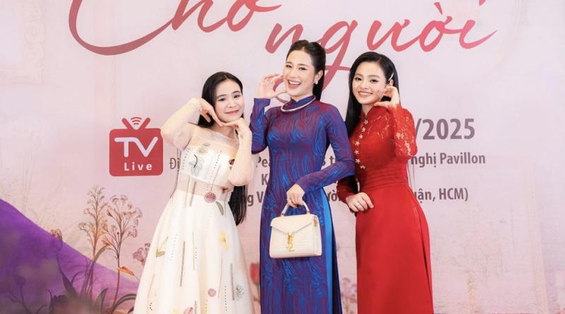 Tố My tạm ngưng nhiều hoạt động nghệ thuật vì lý do sức khỏe - Ảnh 1.