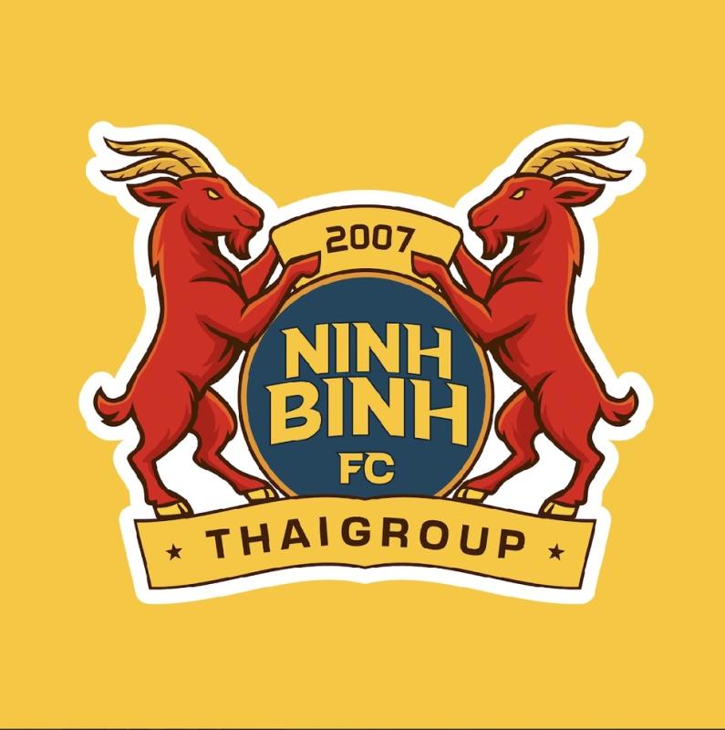 Logo mới của Ninh Bình FC có hình ảnh đặc biệt, sao cũ HAGL ra mắt gây chú ý- Ảnh 2.