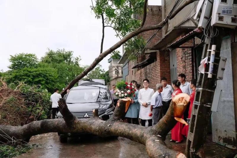 Bộ ảnh cưới độc đáo bên gốc cây ngã đổ sau bão gây sốt giới trẻ - Ảnh 2.