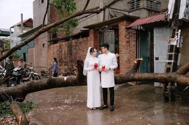Bộ ảnh cưới độc đáo bên gốc cây ngã đổ sau bão gây sốt giới trẻ - Ảnh 4.