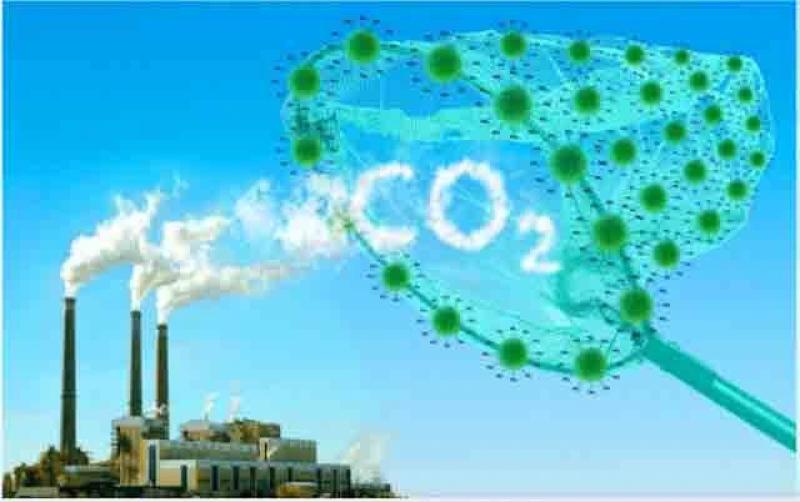 Việt Nam bước vào thị trường tỉ USD - tín chỉ carbon xe điện- Ảnh 3.