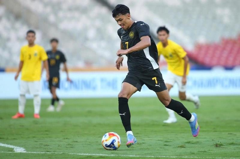 Nhiệm vụ khó của 'những chú hổ Malay'- Ảnh 1.