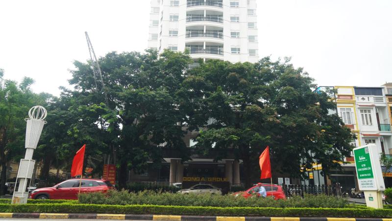 Bạch dinh ' khủng ' 50 . 000 M2 của bầu Đoan bị khám xét điều tra - Ảnh 7. Bạch dinh ' khủng ' 50 . 000 M2 của bầu Đoan bị khám xét điều tra - Ảnh 7.