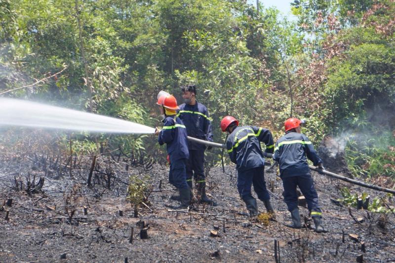Cháy ở Nghĩa trang TP.Đà Nẵng: Lính cứu hỏa đội nắng gắt dập lửa  - Ảnh 1.