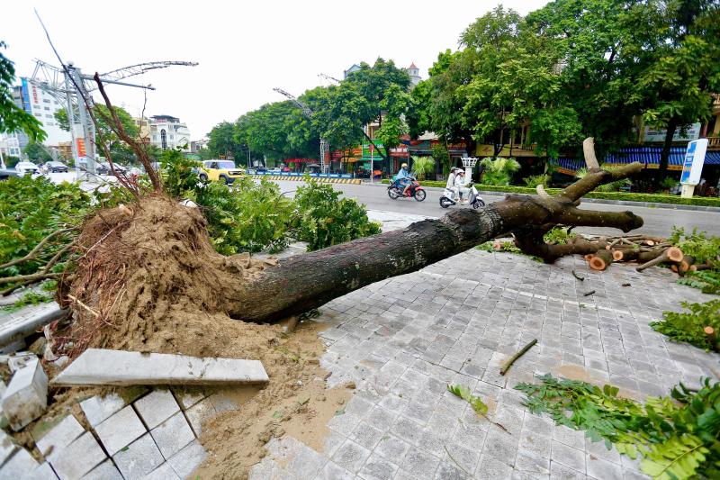 Nhiều tuyến phố Thanh Hóa ngập lụt sau cơn bão số 5 gây thiệt hại lớn - Ảnh 5. Nhiều tuyến phố Thanh Hóa ngập lụt sau cơn bão số 5 gây thiệt hại lớn - Ảnh 5.