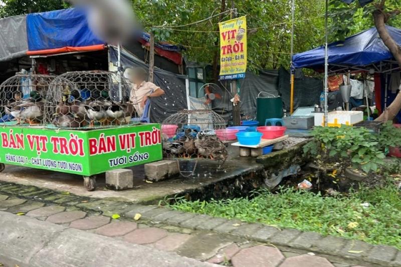 Chợ cóc 'mọc' nhan nhản, bày bán thịt heo dưới lòng đường Hà Nội- Ảnh 10.